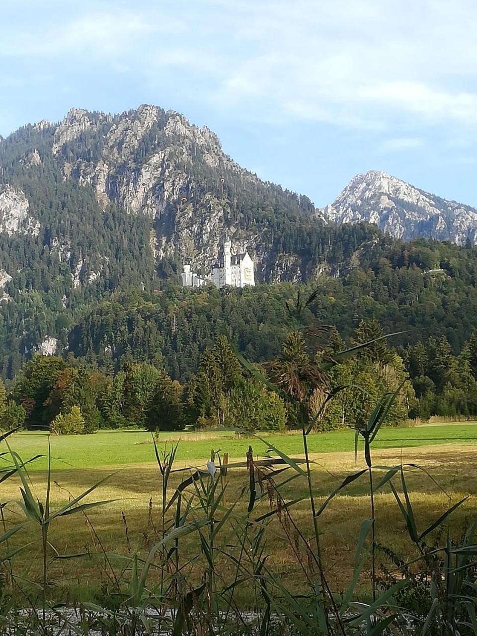 House La Neuschwanstein Blick - Budget City Hotel Fussen Exterior photo